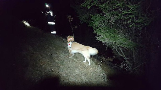 Die Suchaktion (Foto: Rettungshundestaffel Bezirk Bozen)