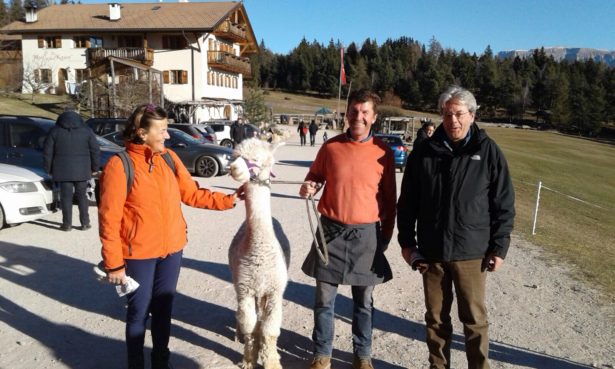 Das Ehepaar Gentiloni mit Züchter Walter Mair und dessen Championhengst Rapanui de Challuma