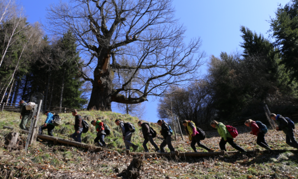 Försterschule in Südtirol (Foto: Lpa/Maja Clara)