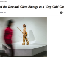 Ötzi in der New York Times