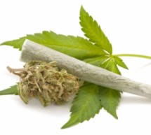 Anzeige gegen Dealer