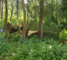 Unwetter in Bruneck