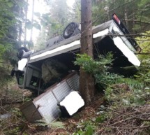 Lieferwagen im Wald