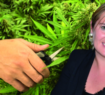 „Keine allgemeine Legalisierung“