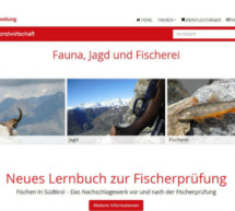 Neue Webseite