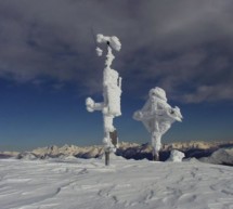 Frostnächte & Hagel