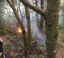 Waldbrand in Rabland