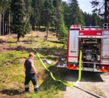 Waldbrand in Pfalzen