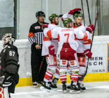 Sieg gegen Haie