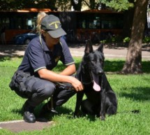 Razzia im Bahnhofspark