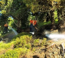 Brand auf der Alm