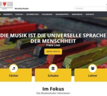 Musikschulen im Netz