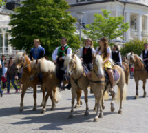 Der Haflinger-Montag