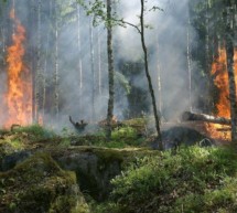 Erhöhte Waldbrandgefahr