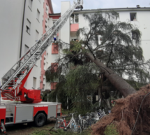 Die Bilanz der Feuerwehr