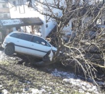 Pkw prallt gegen Baum