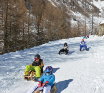 Wolf auf der Rodelbahn?