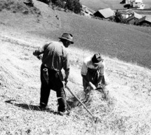 „Die Sakralität des Brotes“