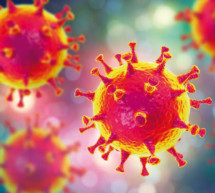 Wie gefährlich ist das Coronavirus?