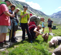 „Mangelnde Urlaubs-Richtlinien“