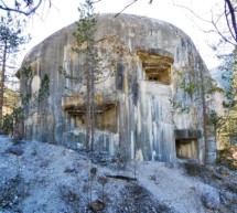 ZeitzeugInnen zum Thema Bunker