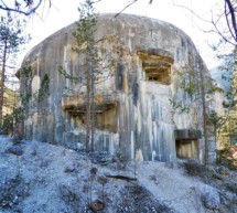 ZeitzeugInnen zum Thema Bunker