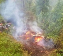 Brand im Naturpark