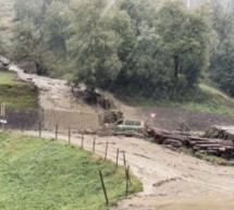 50 Feuerwehren im Einsatz