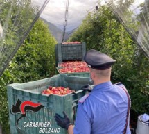 Carabinieri auf der Wiese