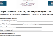 Das Formular für den Schnelltest