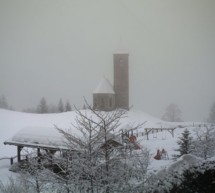 Nasser Winter