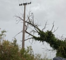 Die Unwetter-Einsätze