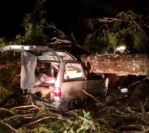 Baum kracht auf Auto