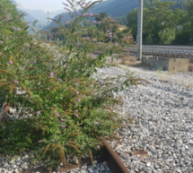 Biodiversität unterwegs