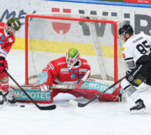 HCB gegen Znojmo