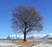 Viele Niederschläge