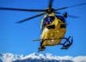 Waldarbeiter stürzt ab
