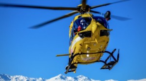 Waldarbeiter stürzt ab