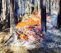 Waldbrand in Kastelruth