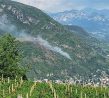 Wieder Brand am Hörtenberg