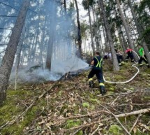 Waldbrand in Klausen