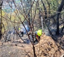 Waldbrände unter Kontrolle