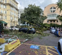 Baum kracht auf Autos