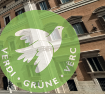 Grüne Fehler