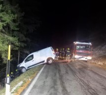 Pkw landet im Wald