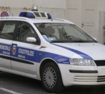 Polizeiliche Synergien