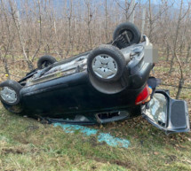 Pkw landet in Obstwiese