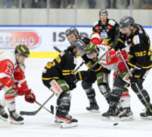 Foxes siegen im Derby