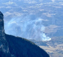 Gebändigter Waldbrand