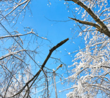 Deutlich weniger Schnee